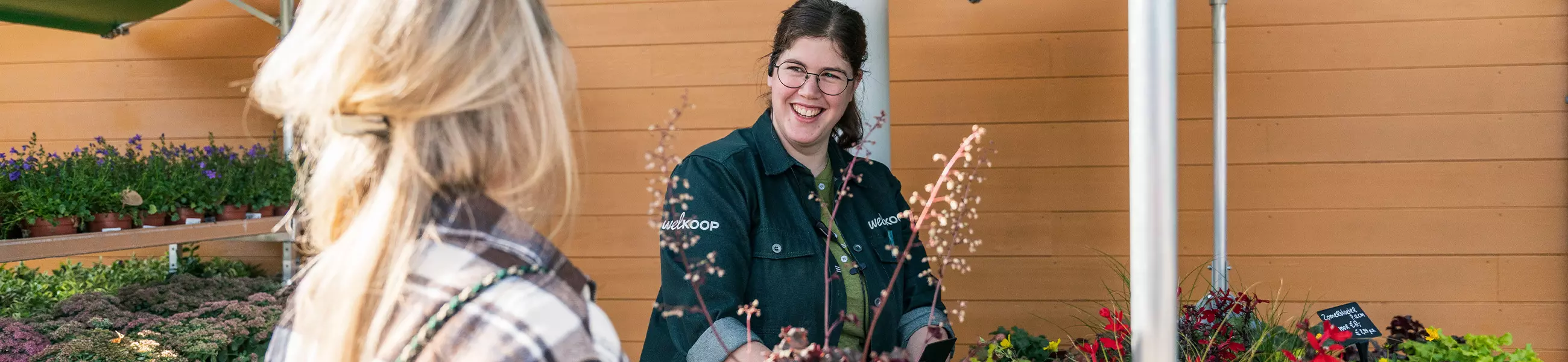 Werken bij Welkoop Werken bij Welkoop